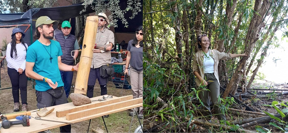 La UNNE impulsa el uso del bambú en la construcción y acompaña un taller de capacitación en Buenos Aires