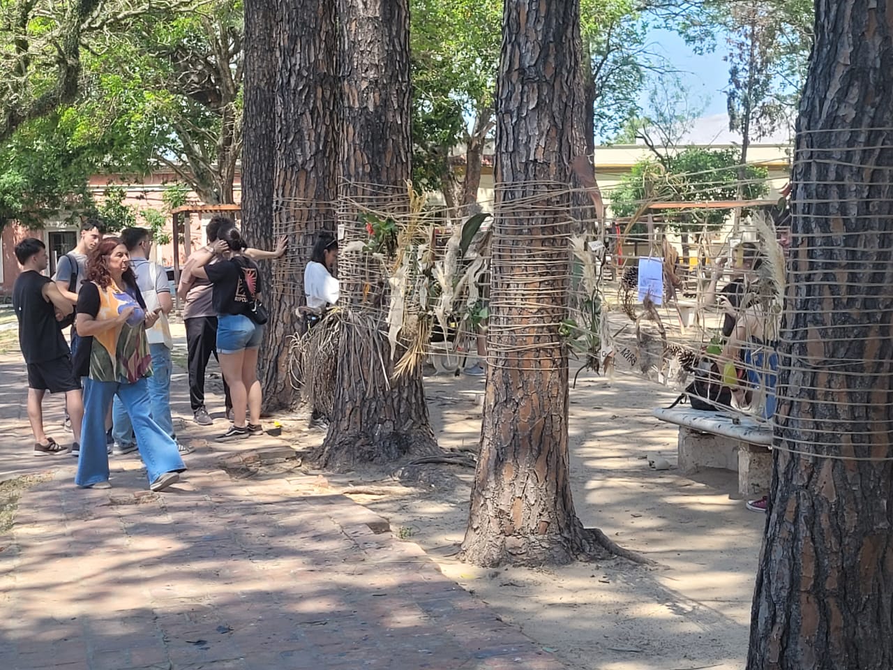 13 Prácticas de Extensión en Territorio.jpeg