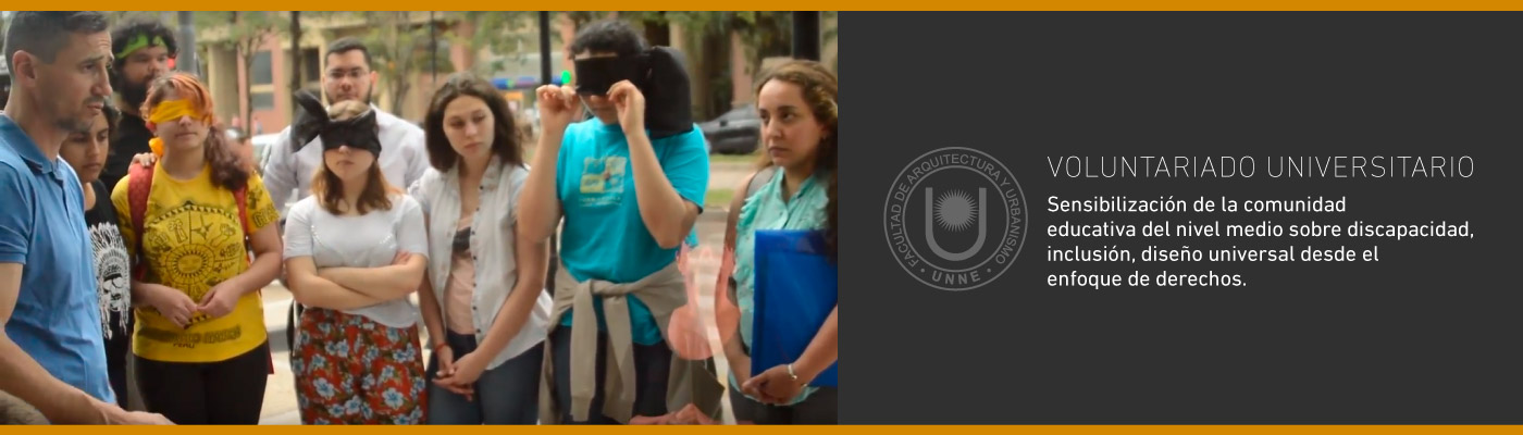 Proyecto de voluntariado universitario