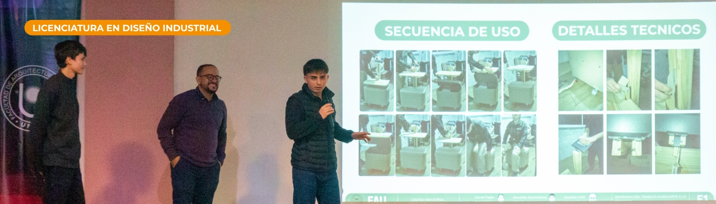 LDI: Del Trabajo ambulante a la Industria